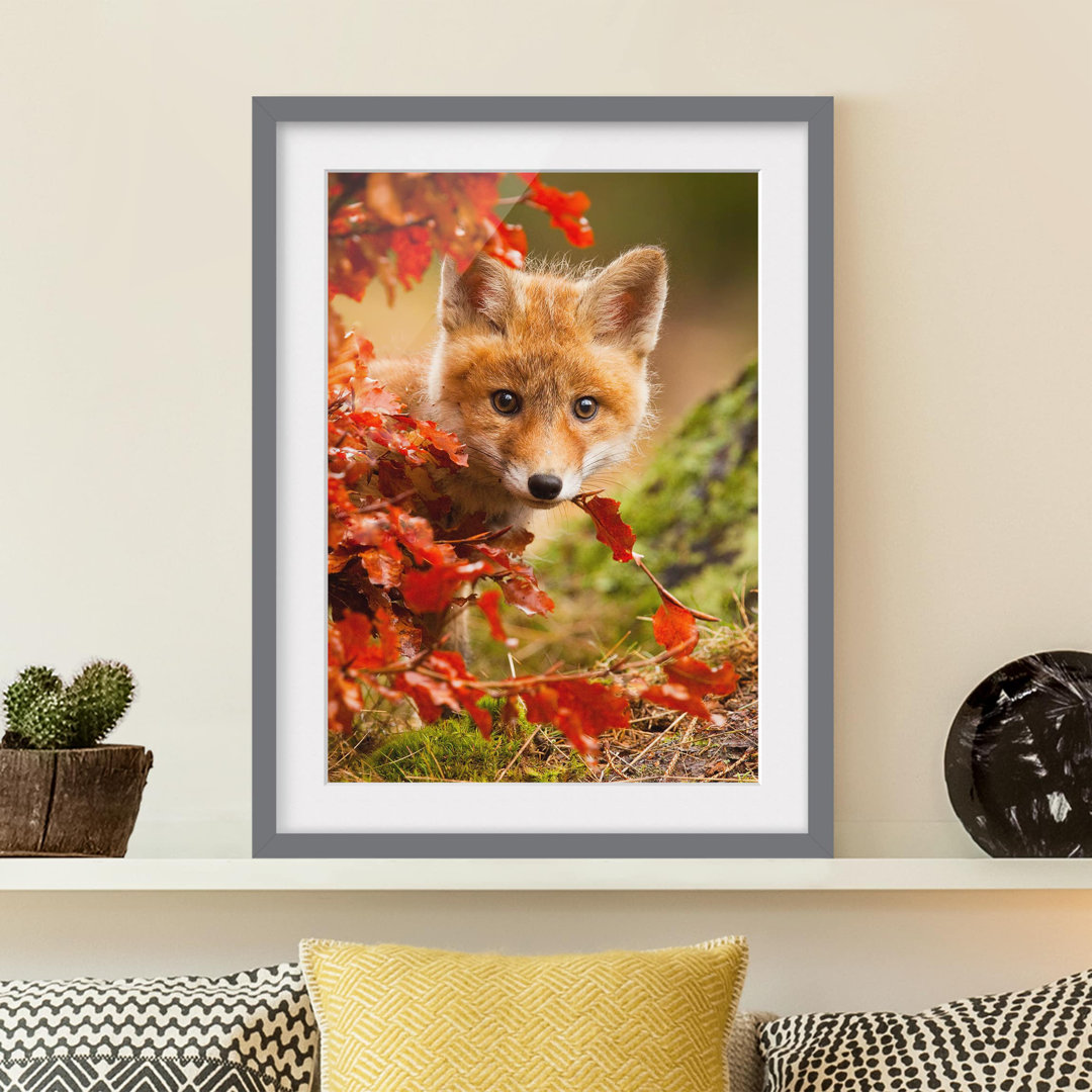 Gerahmtes Papierbild Fuchs im Herbst