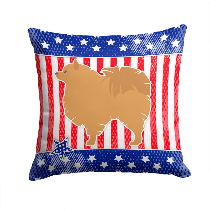 Coussin intérieur/extérieur usa Patriotic, H 14 po x l 14 po x P 3 po