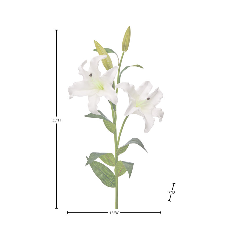 Lys oriental 35 po Real Touch , Blanc