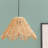 Adhara 1 - Light Cone Geometric Lamp Shade