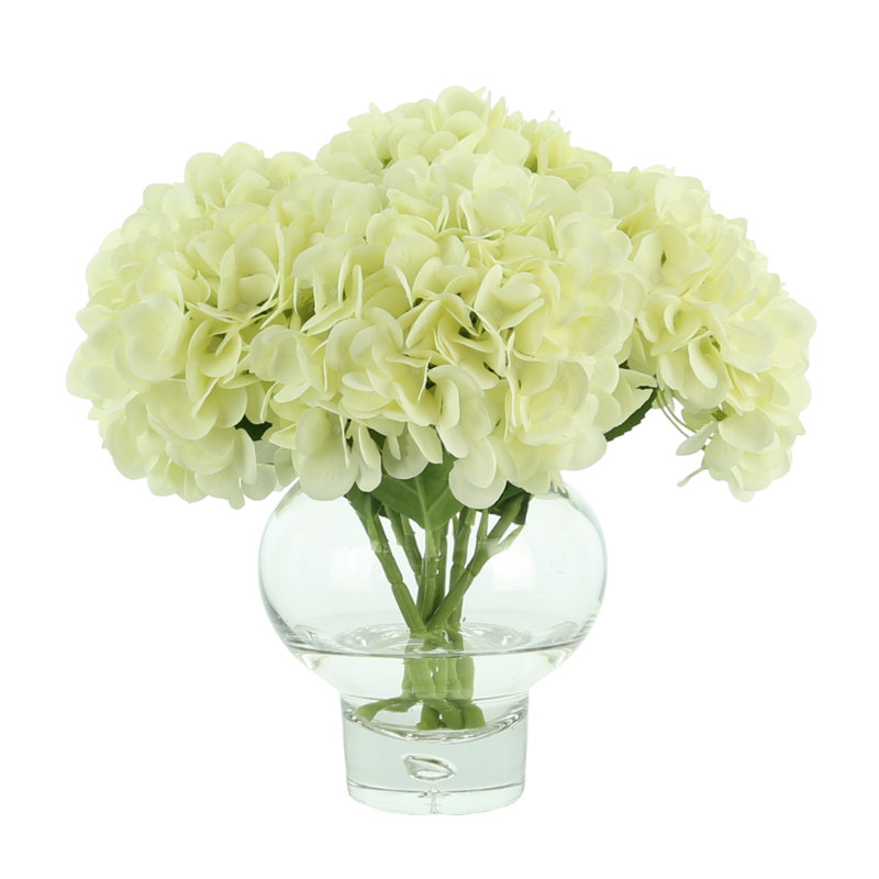 Arrangement floral d'hortensias dans un vase, Crème