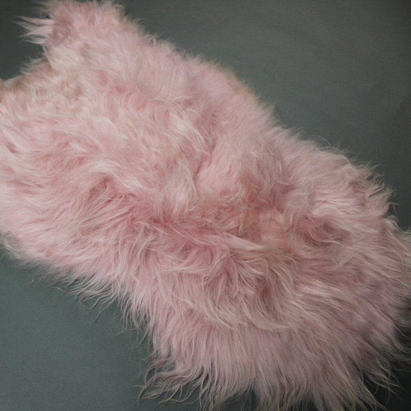 Abrahamson Novelty 65 cm x 95 cm Sheepskin Area Rug