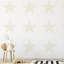 Style Sisters Classic Single Star Design Wallpaper Roll-802627973