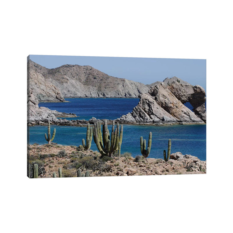 Cardon Cacti, Santa Catalina Island, Sea Of Cortez, Mexico by Hiroya Minakuchi - Wrapped Canvas Print