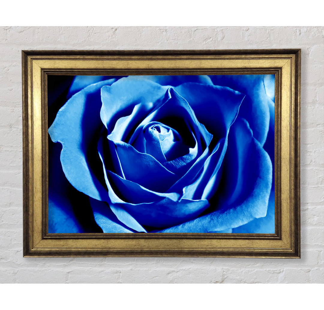 Gerahmtes Leinwandbild Blue Rose Petal