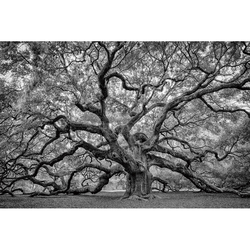 No Frame Print on Glass, 80cm H x 120cm W x 0.4cm D