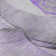 Premium Machine Washable Cerrito AMF506 Purple Rug