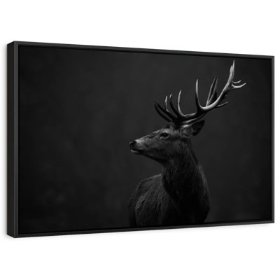Red Deer BW Canvas Print