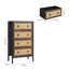 Addilynne 4 -Drawer Storage Cabinet