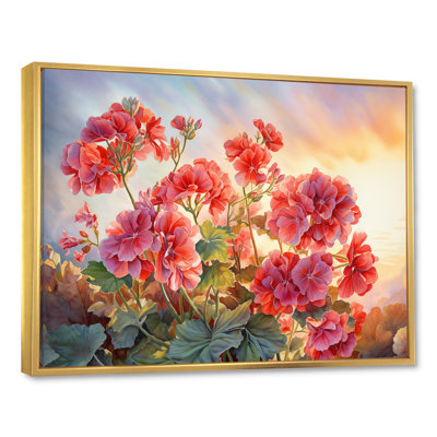 " Geraniums Sunset Blooming I "