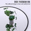 Miroir pleine grandeur arqué 71 po x 32 po