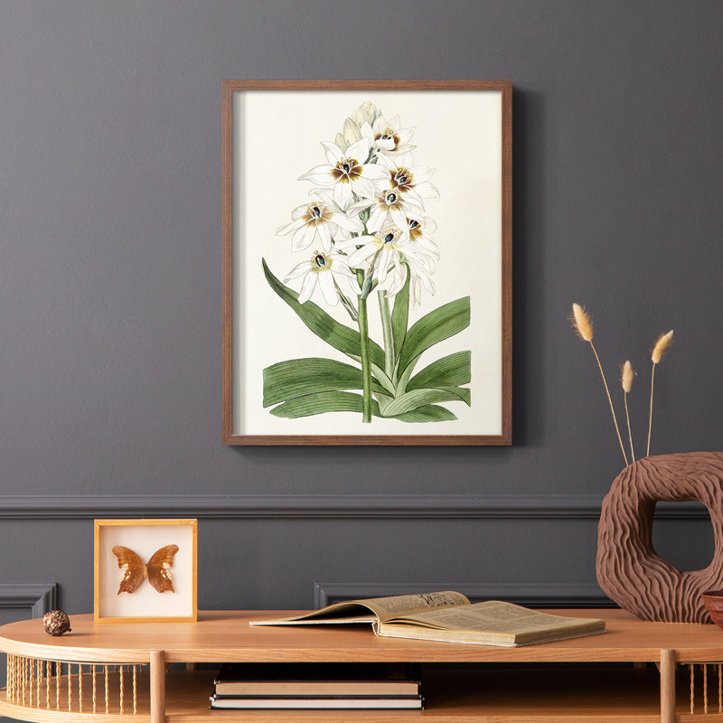 «Flore Albo I», reproduction encadrée - bois massif, Brun, H 10 po x l 8 po