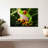 Brampt Tree Frog-107850619