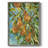In A Pear Tree Framed Print - Solid Wood