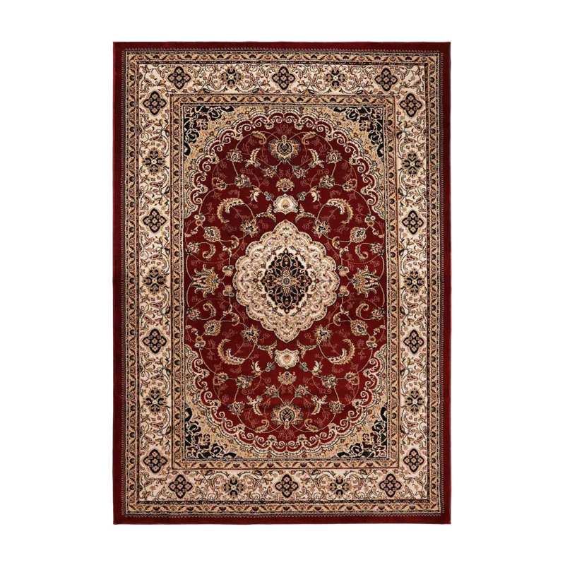 Oriental Area Rug, Rectangle 80 x 150 cm