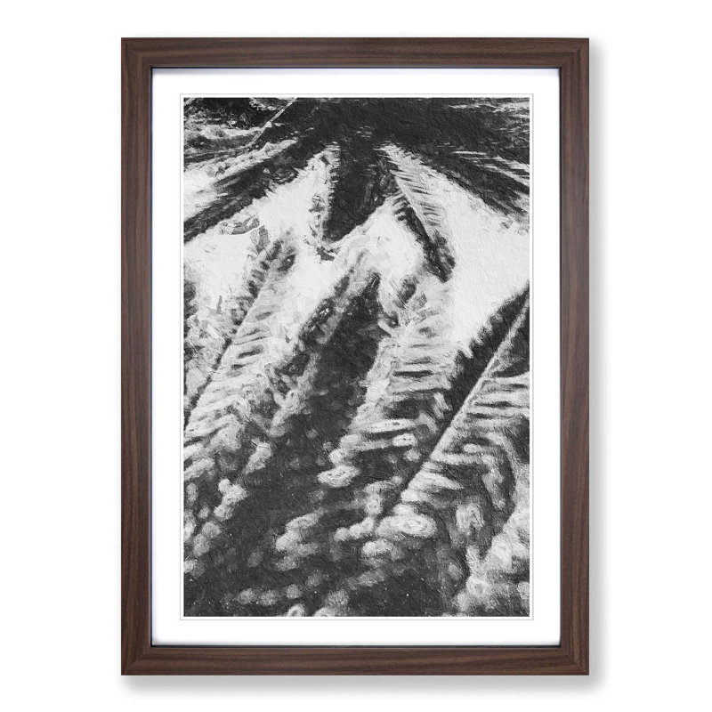 Palm Tree Shadows - Picture Frame Painting Print, 48cm H x 36cm W x 2cm D, Walnut Framed