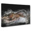 Alligator Watchful Eye In Abstract - Wrapped Canvas Print-55306389