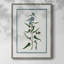 Shabby Elegance Botanical I, reproduction encadrée - bois massif 46719-1974952719