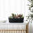 Indoor Matte Black Ceramic Pot Planter
