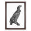 Spotted Eagle Illustration - Framed Print-55729842-55729844