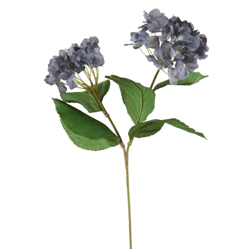 Hydrangea Arrangement