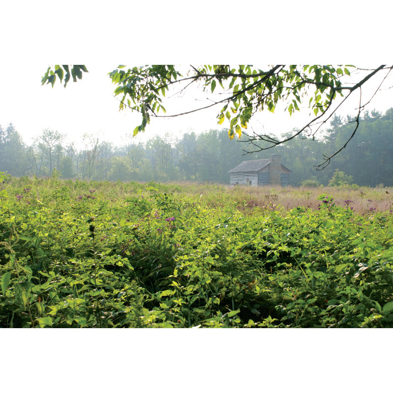 Cabin In Nature - Wrapped Canvas Print, 51cm H x 76cm W x 3.8cm D
