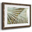 Suave Fronds - impression d'un seul cadre photo-1227837938-1227837939