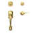 Lifetime Brass