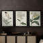 Antique Botanical Collection VII - Toile tendue avec châssis sur mesure - 3 pièces
