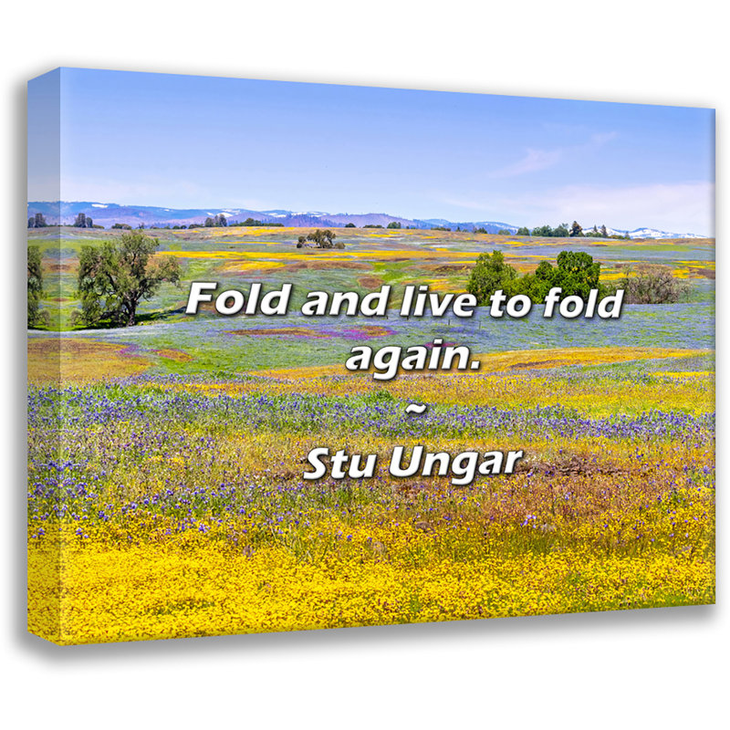 Stu Ungar Quote: Fold and live to fold again., 20" H x 24" W