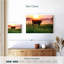Alvord Cow Sunrise-107687663