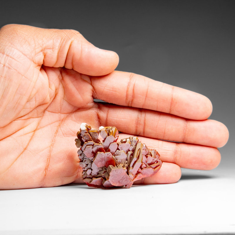 Grappe de vanadinite (croissance en trémie parallèle) du Maroc (47,4 grammes)