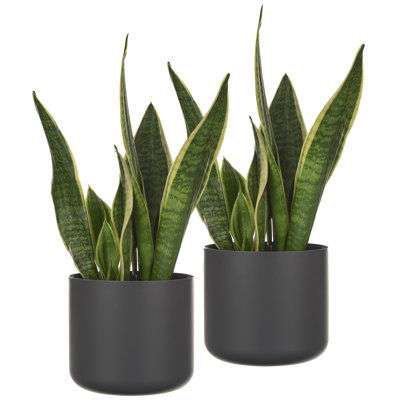 Abelius Pot Planter