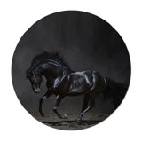 Black Stallion Print