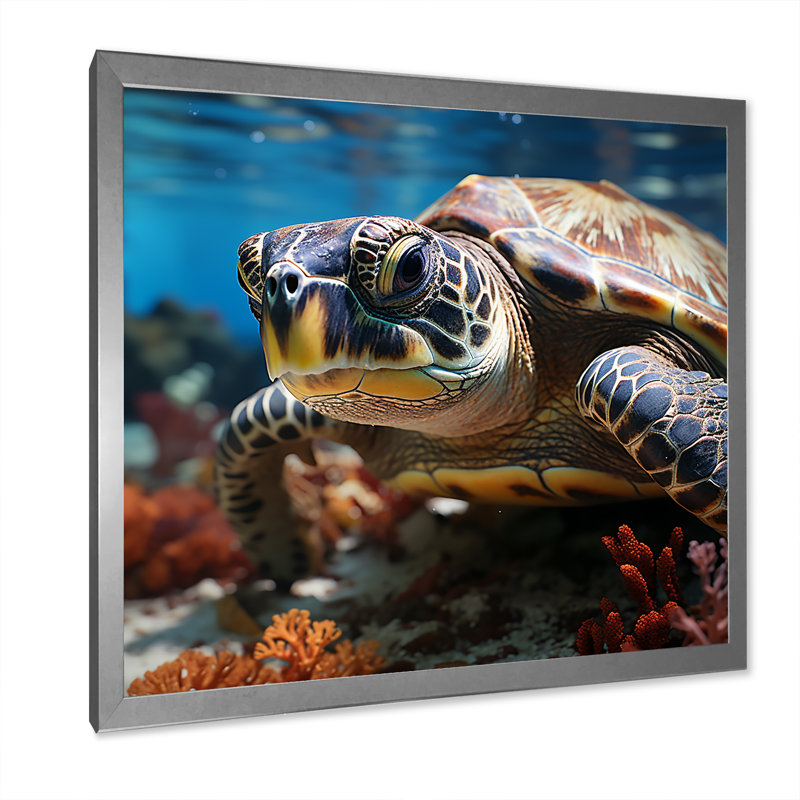 Curieuse tortue de mer sous l'eau, Cadre simple argenté, H 16 po x l 16 po x P 1 po
