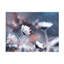 «Spring Almost Coming On Canvas» par Fabien BRAVIN, reproduction-597411959