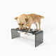 Acrylic Double Bowl Elevated Pet Feeder