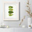 Avocat - Cadre photo, reproduction d'art sur papier-257222560-257222587