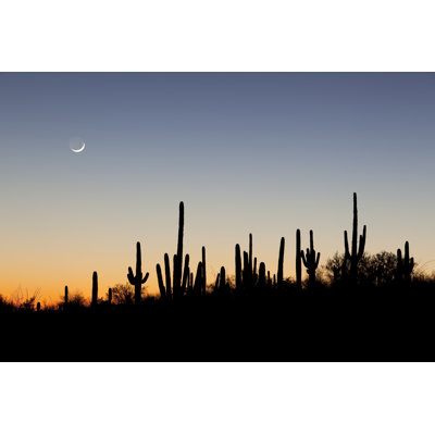 Desert Sunset by Dougbennett