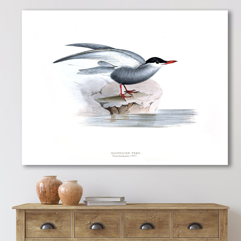 Oiseau rétro de l'Europe I - peinture sur toile, H 30 po x l 40 po x 1,5 po, Toile tendue