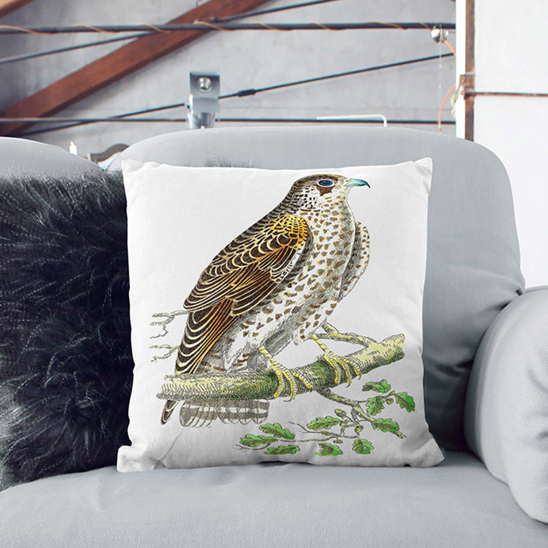 Brown Falcon by George Shaw Cushion with Filling