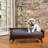 SOLID WOOD DOG BED
