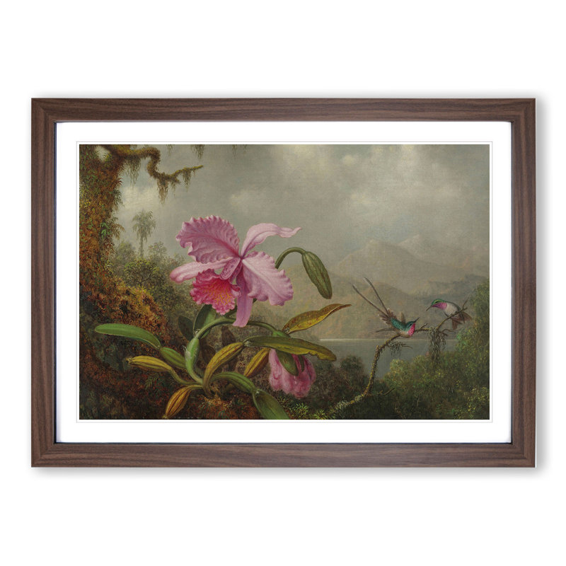 Orchid with Hummingbirds Vol.1 by Martin Johnson Heade - Picture Frame Painting, 48cm H x 65cm W x 2cm D, Walnut Framed