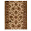 Oriental Area Rug