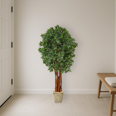 Lychee Artificial Tree in Country White Planter