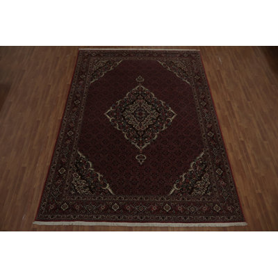 Fine Vegetable Dye Traditional Large Rug 10x14