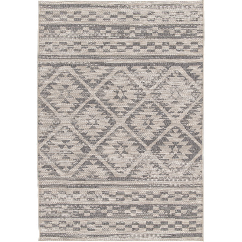 Dupuy Vintage Look Flatweave Indoor / Outdoor Area Rug, Rectangle 120cm x 170cm