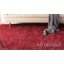 Tapis rouge Ballenas-1053303197