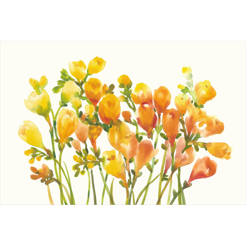 Freesia I by Timothy O' Toole - 1 Piece Wrapped Canvas Painting, 81cm H x 122cm W