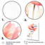 Ranunculus, reproduction d'art sur toile-944485467-944485470